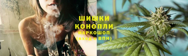 PSILOCYBIN Верхний Тагил